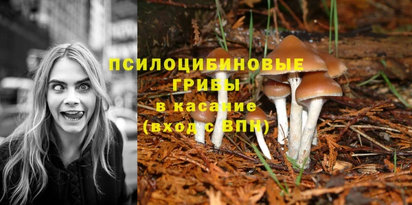 хмурый Алексин