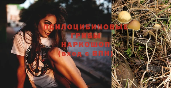 тгк Алексеевка