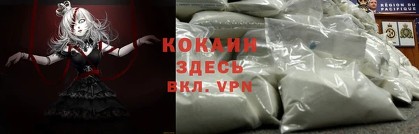 хмурый Алексин