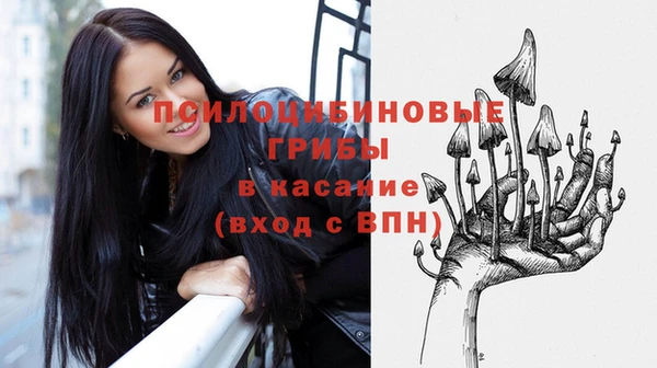 мяу мяу мука Алзамай