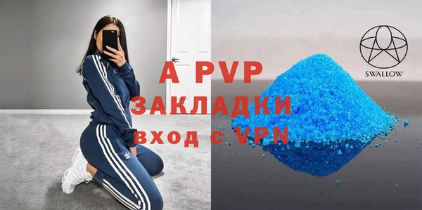 хмурый Алексин