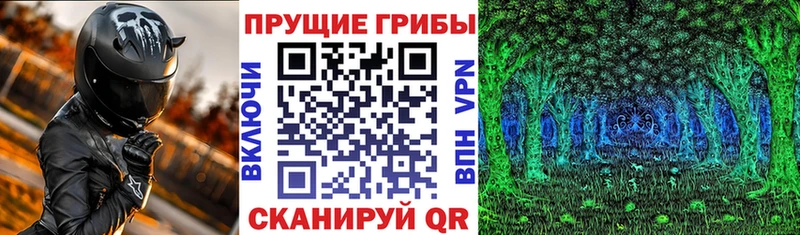 купить наркотики сайты  Петушки  Галлюциногенные грибы Psilocybine cubensis 